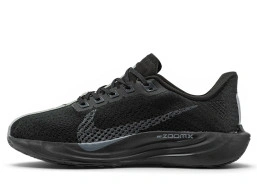 Zoom Pegasus